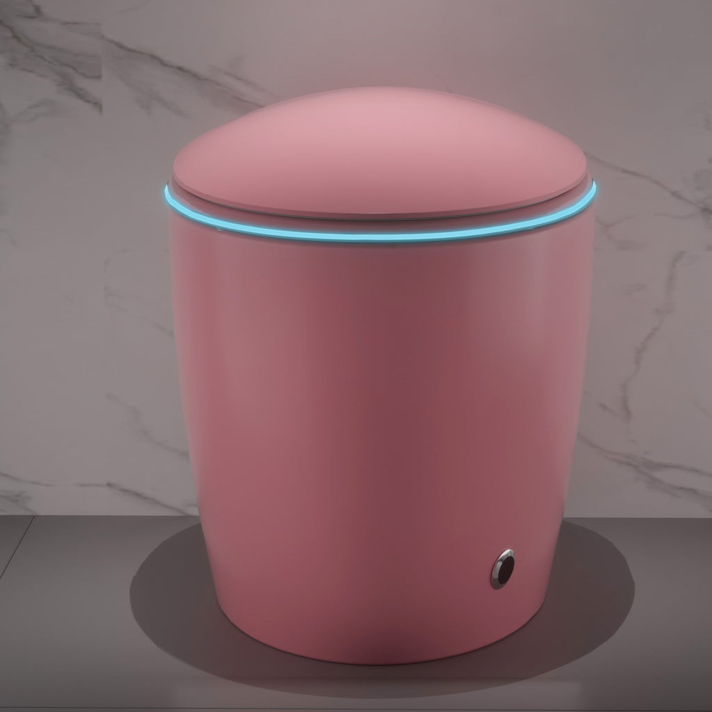 Unique Smart Toilet with Bidet Built In