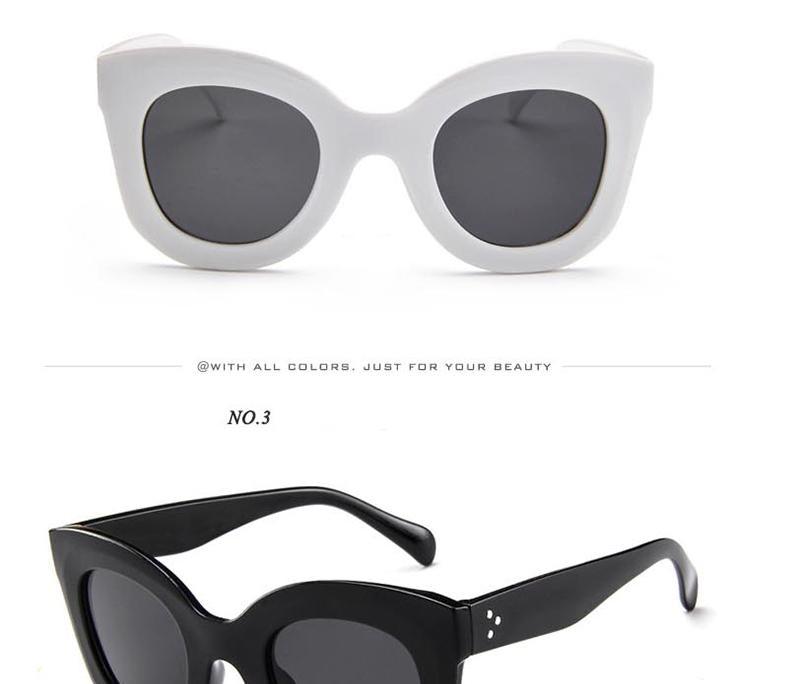Cat Eyes Sunglasses for Women Polarized Oversized Fashion Vintage Eyewear for Driving Popular Vintage Sunglasses For  Women In Cat Eye Design Glasses For Women Men