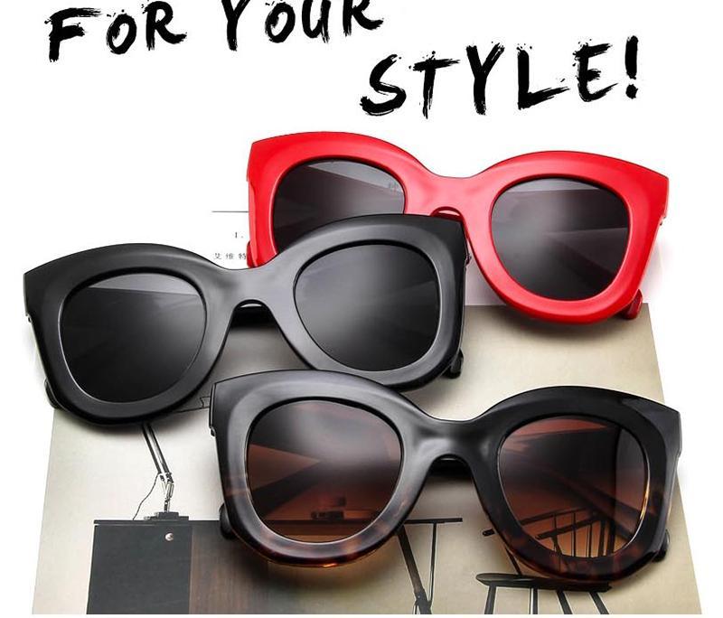 Cat Eyes Sunglasses for Women Polarized Oversized Fashion Vintage Eyewear for Driving Popular Vintage Sunglasses For  Women In Cat Eye Design Glasses For Women Men