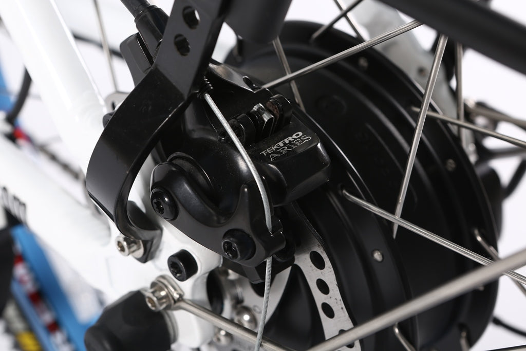 X-Treme Catalina Beach Cruiser - Electric Bicycle - 48 Volt - Step-Through Frame Long Range - Comfort Bike