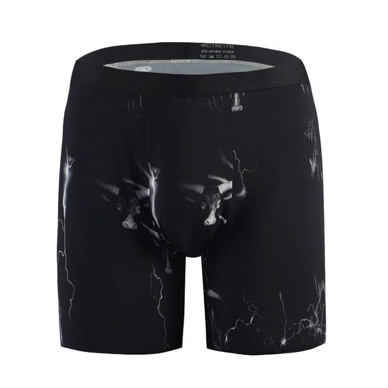 Men's Assorted Print Underwear
