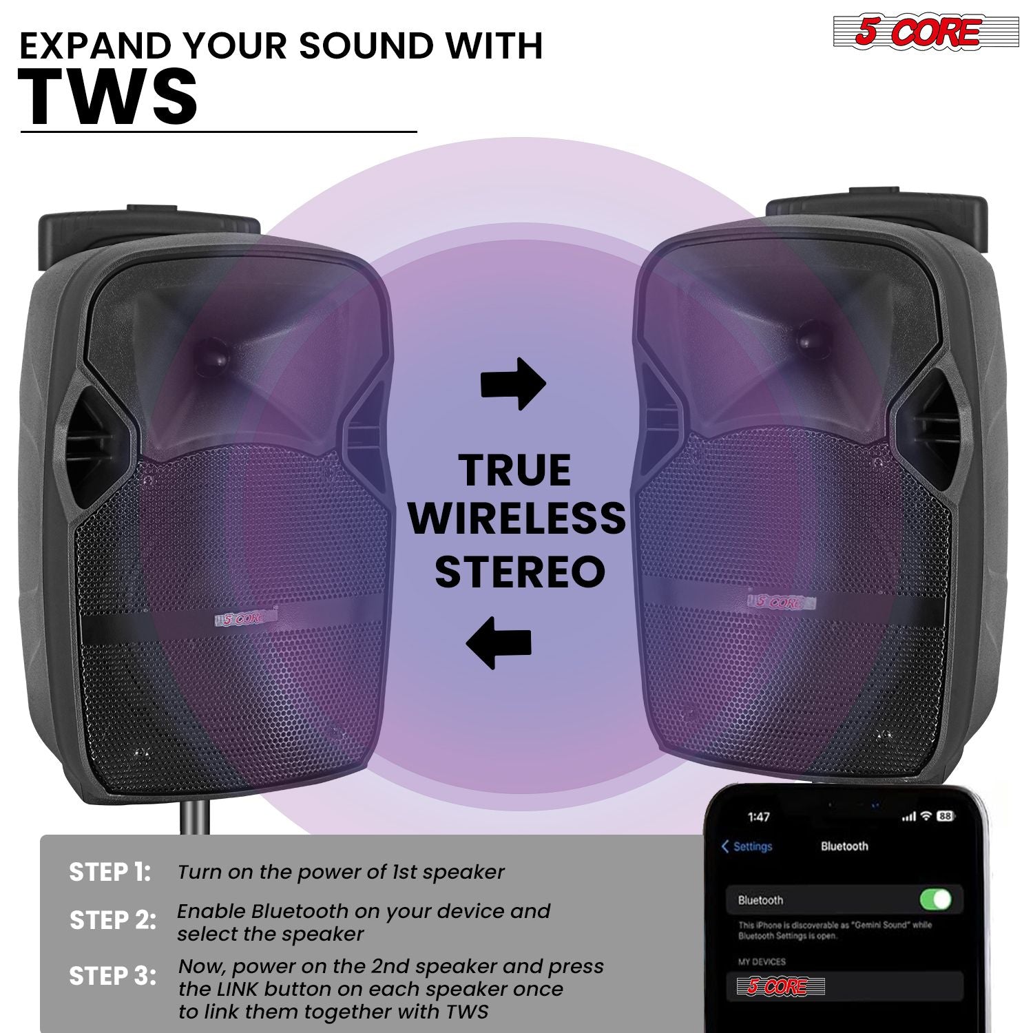 5 Core Party Speaker Bluetooth 250W Big Monster Powered Rechargeable Outdoor PA DJ System w Disco Lights 2 Wireless Karaoke Mics Portable Rolling Speakers w Handle Black - ACTIVE HOME 8 2-MIC