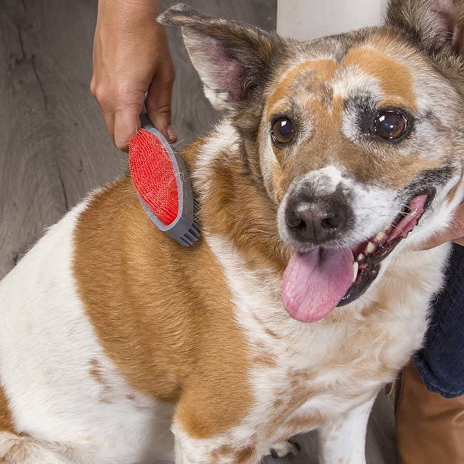 2-in-1 Cleaning Brush For Pet Hair Removal