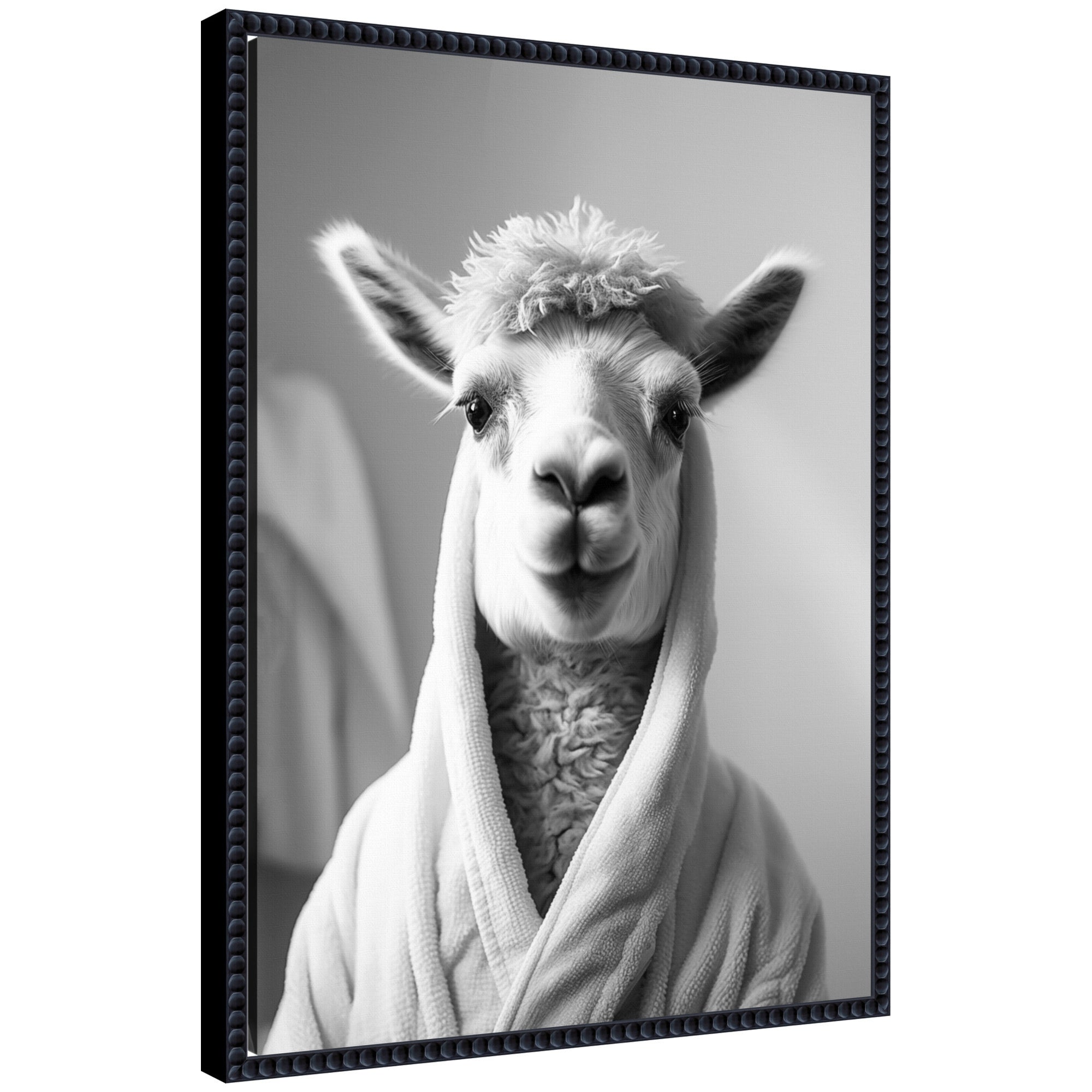 Sylvie Llama Bathroom Art Towel Robe Black and White Framed Canvas by The Creative Bunch Studio