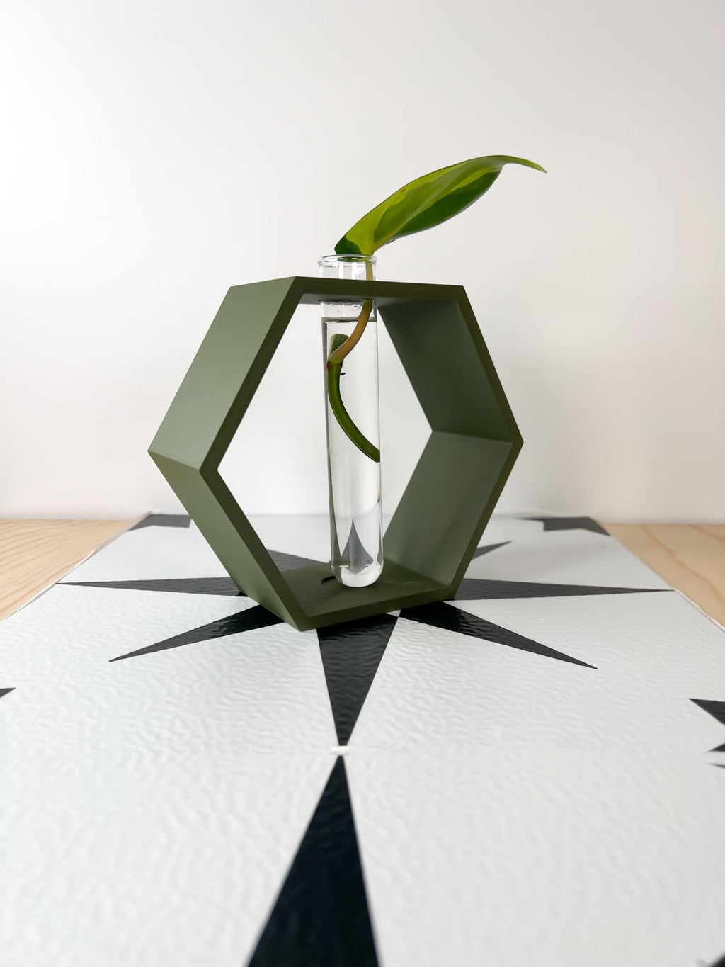 Hexagon Propagation Station