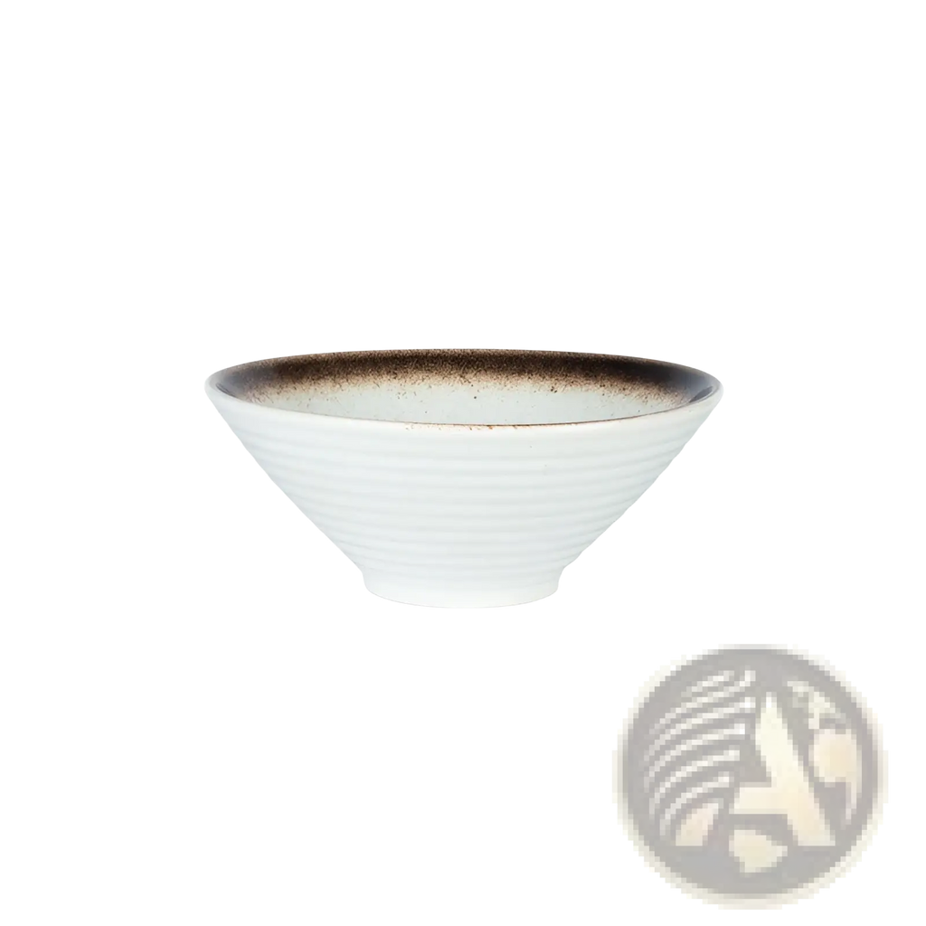 Japanese Ceramic Bowls Rustic Speckled Tableware Set
