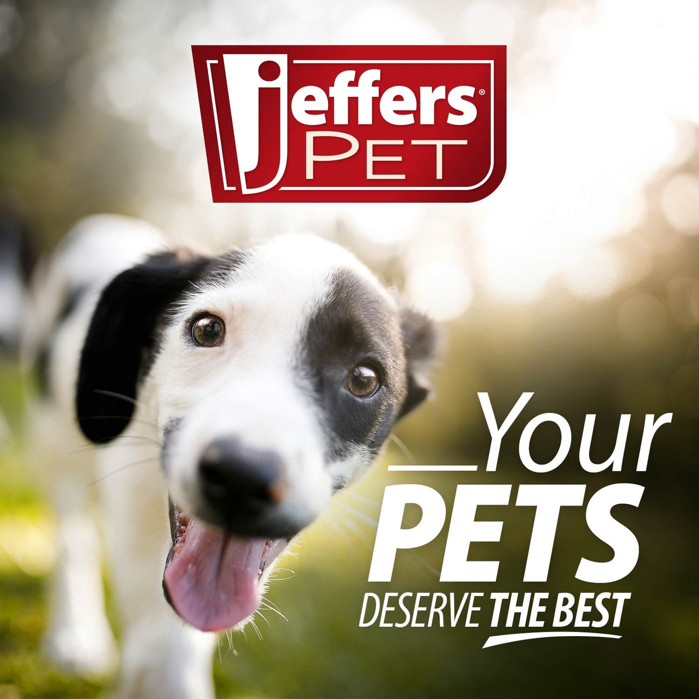 Jeffers Non-Slip Slicker Pet Grooming Brushes