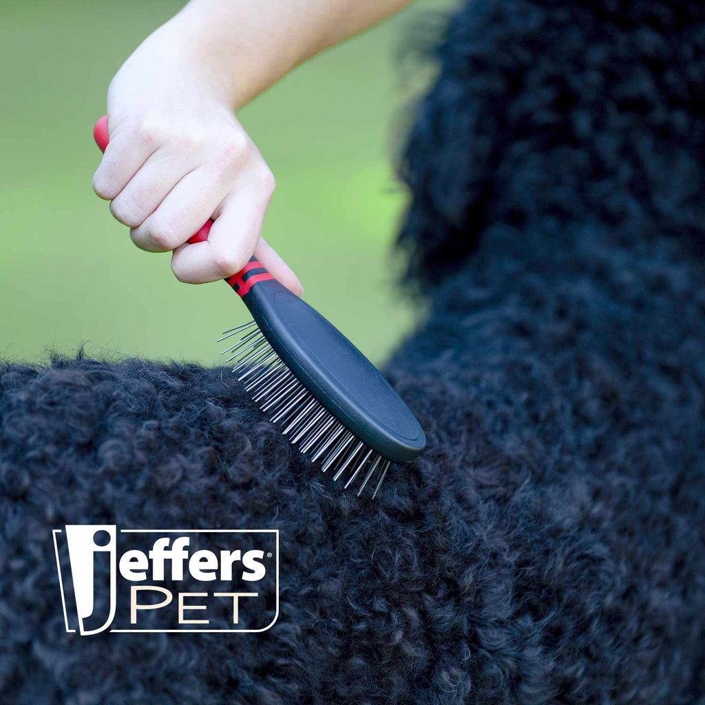 Jeffers Pin Brush for Pet Grooming, Medium