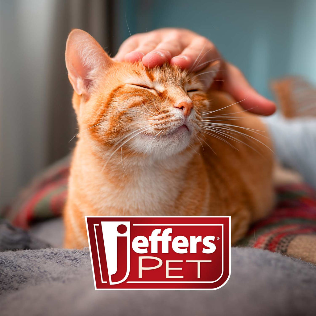 Jeffers Non-Slip Slicker Pet Grooming Brushes