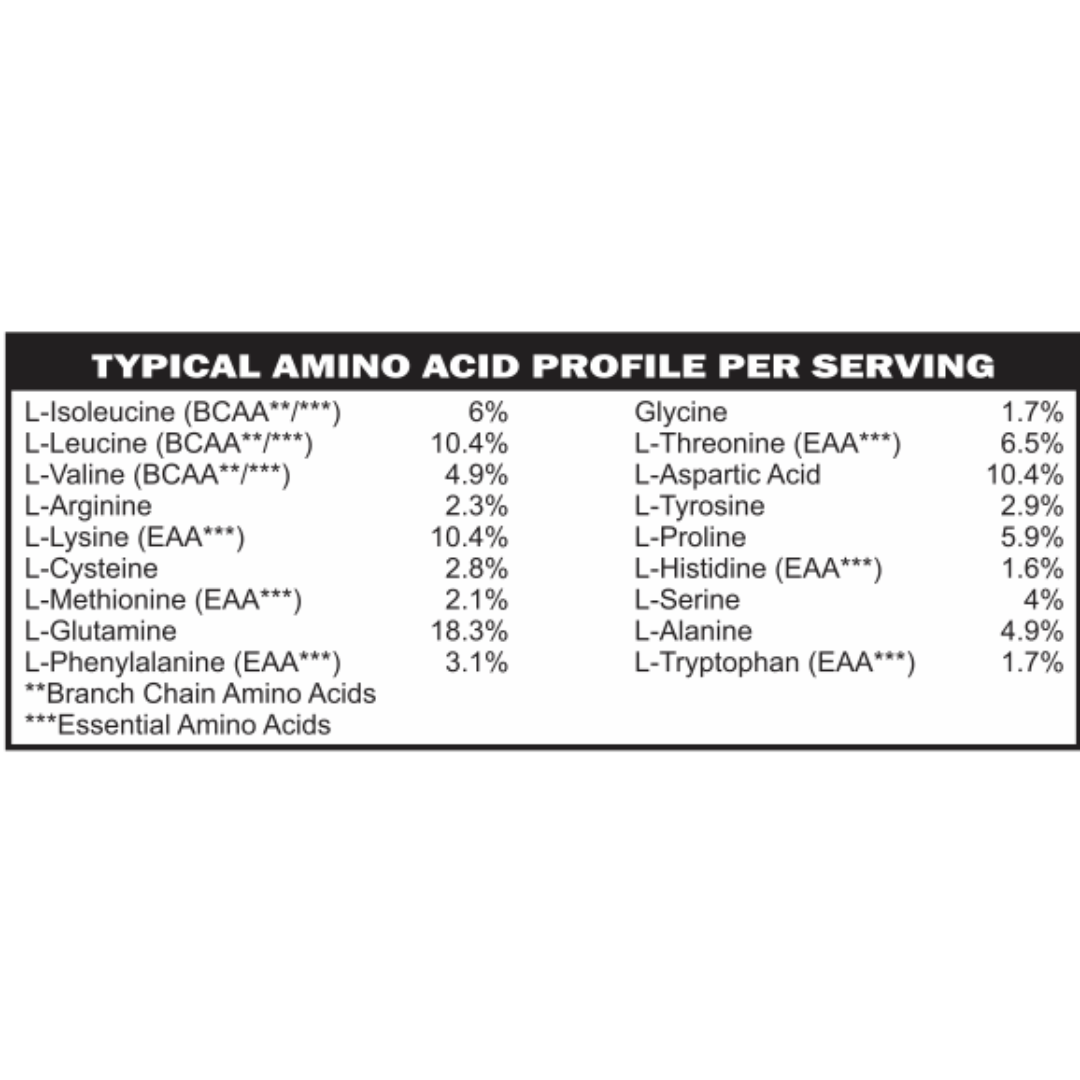 GLP-1 Companion Whey Protein (Chocolate) Low FODMAP, Gut-Gentle Nutrition Support