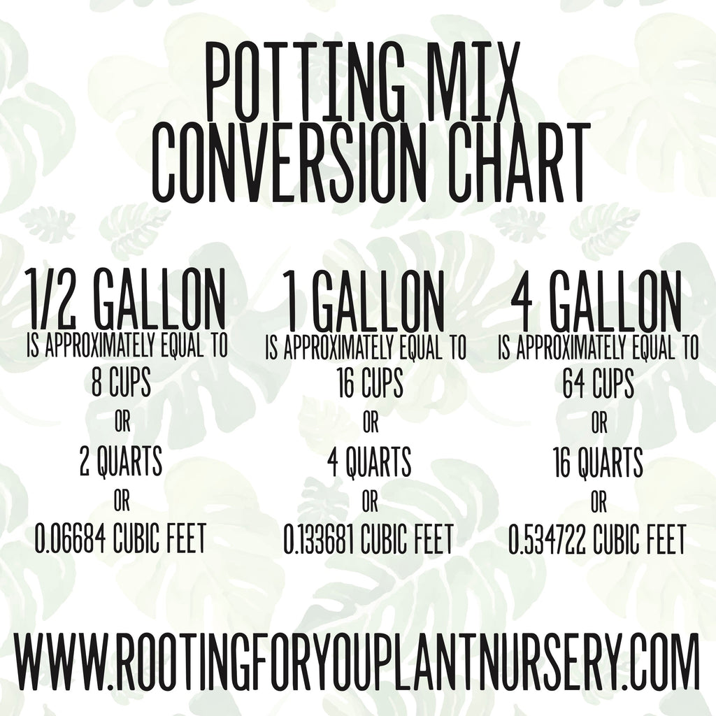 SANSEVIERIA Snake Plant Premium Potting Mix