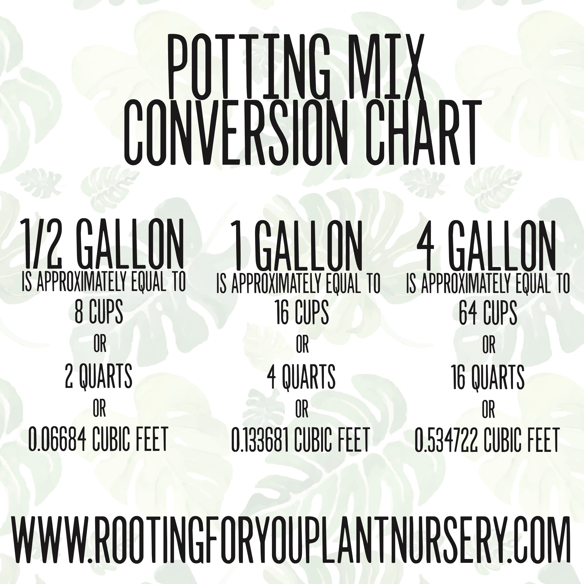 SANSEVIERIA Snake Plant Premium Potting Mix